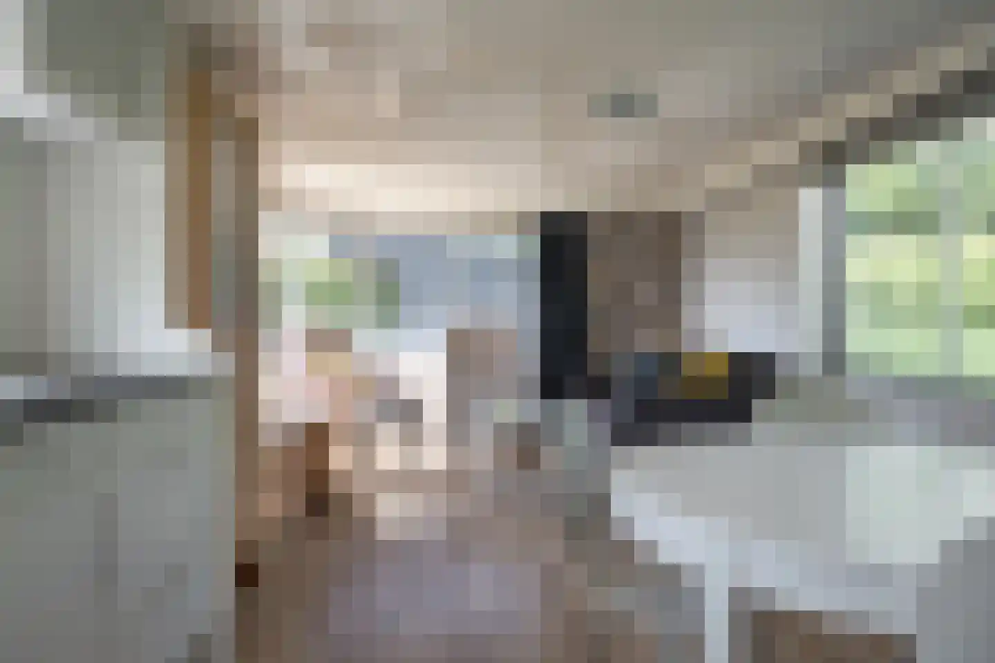 Yn 'e Lijte 10 35 Grou thumbnail 6