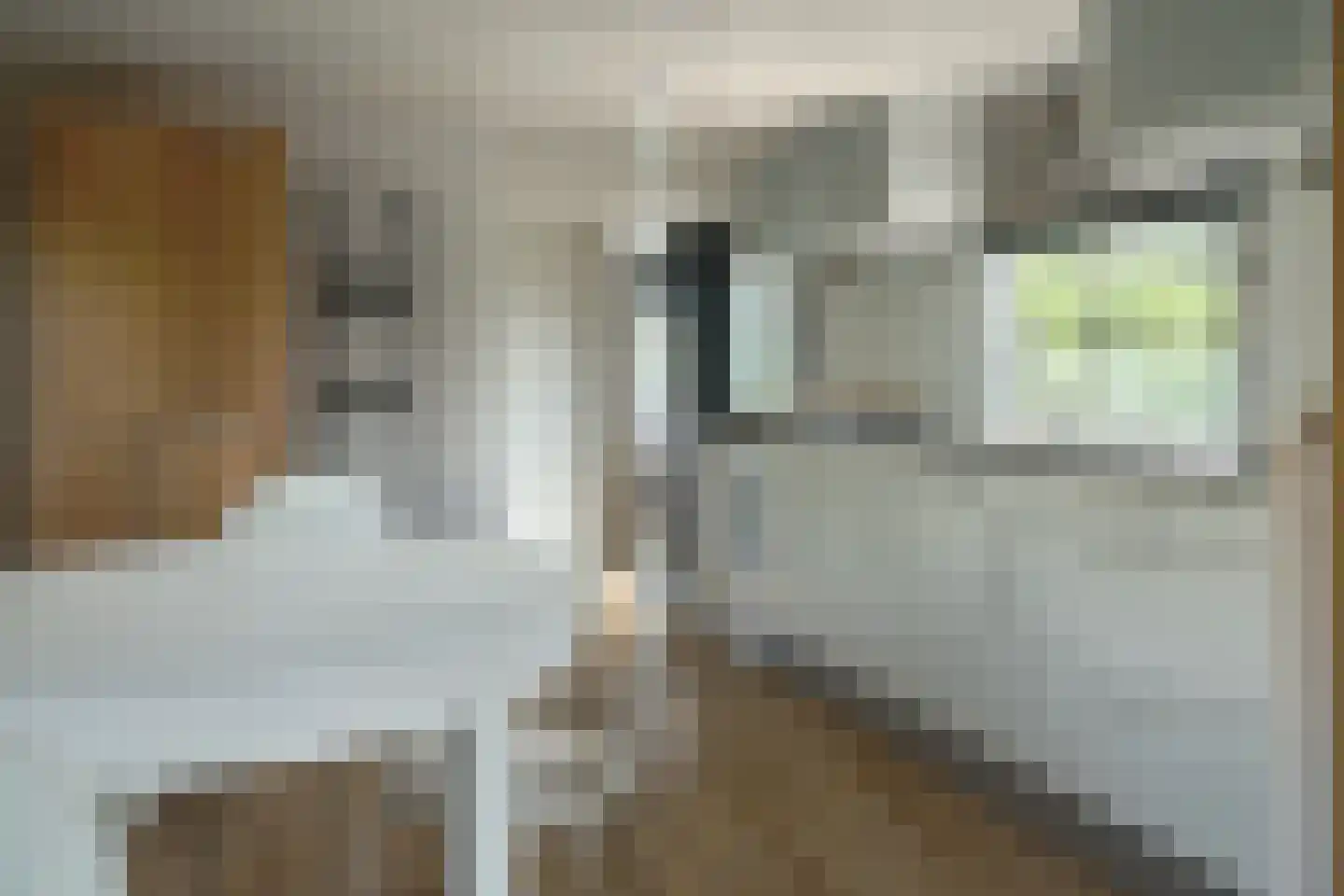 Yn 'e Lijte 10 35 Grou thumbnail 7