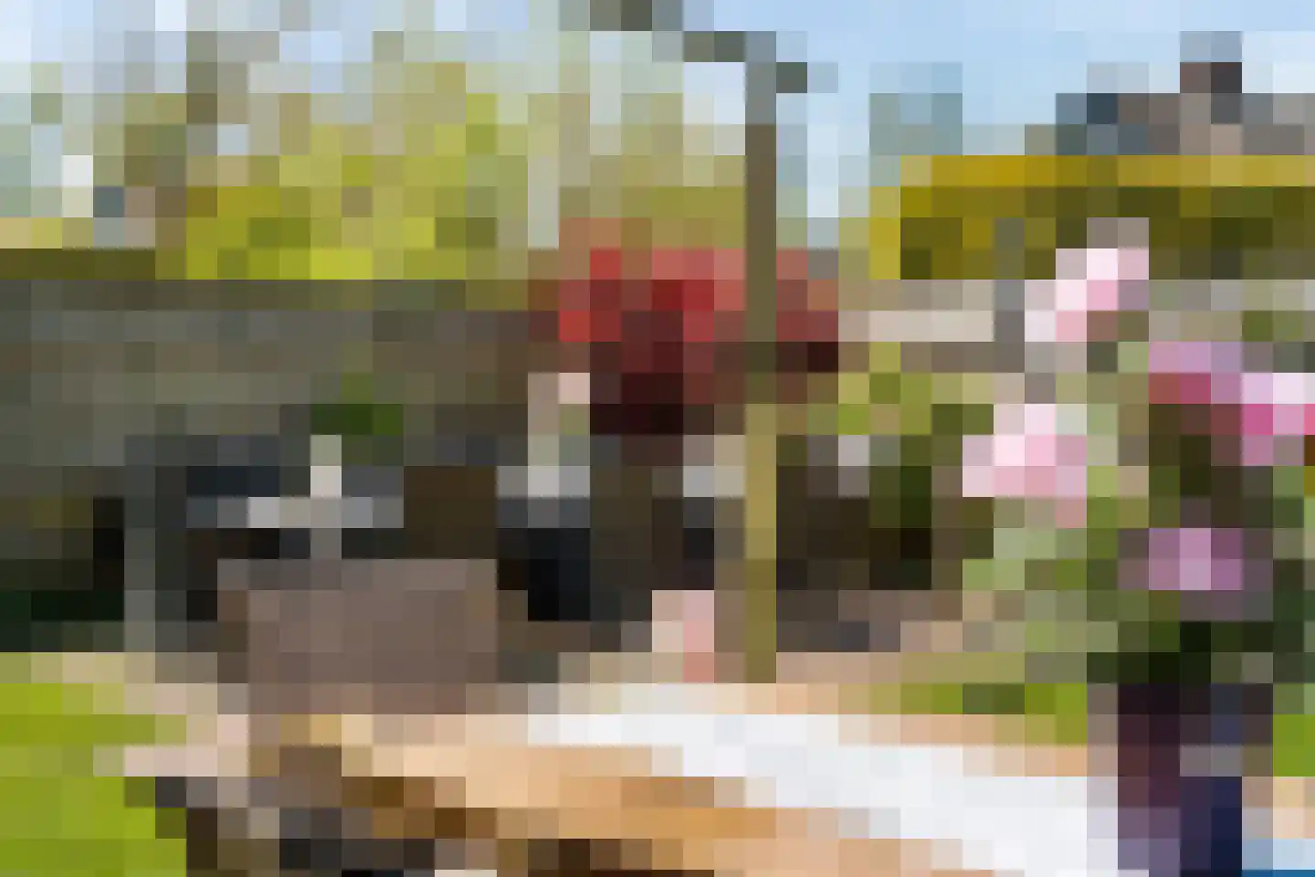 Yn 'e Lijte 109 Grou thumbnail 29