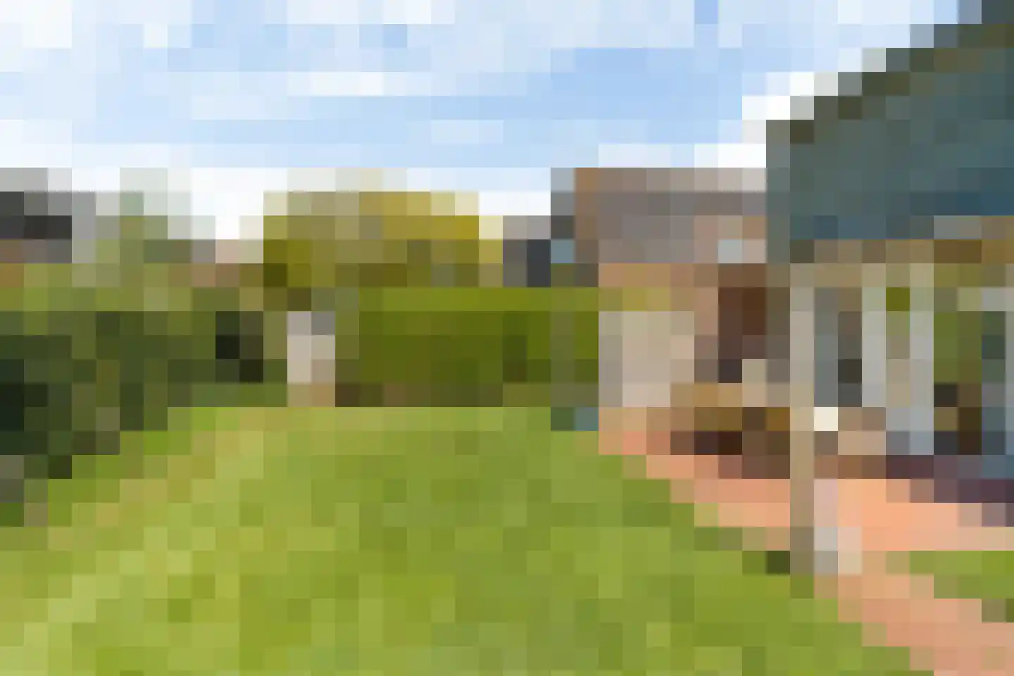 Yn 'e Lijte 109 Grou thumbnail 32