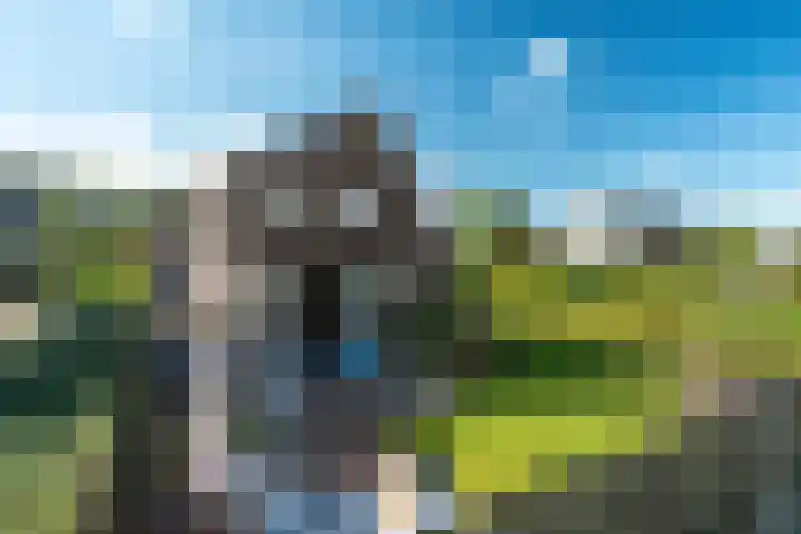 Yn 'e Lijte 133 Grou foto 2