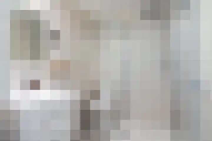 Yn 'e Lijte 133 Grou thumbnail 23