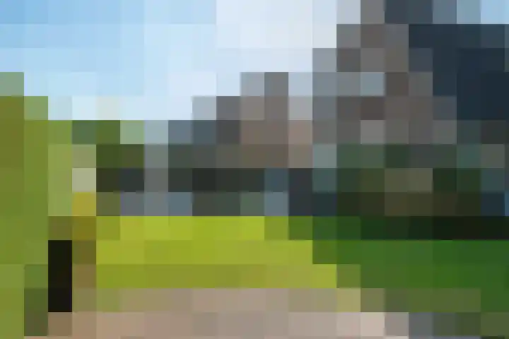 Yn 'e Lijte 133 Grou thumbnail 25