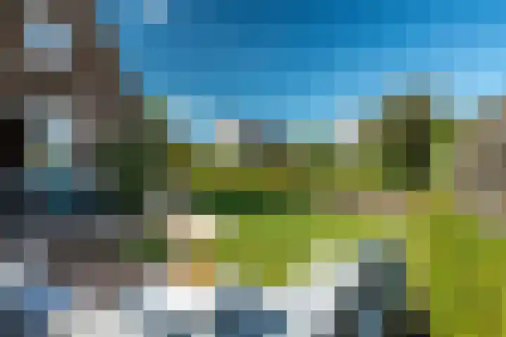 Yn 'e Lijte 133 Grou thumbnail 27