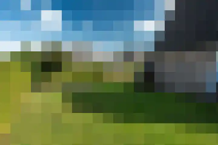 Yn 'e Lijte 133 Grou thumbnail 28