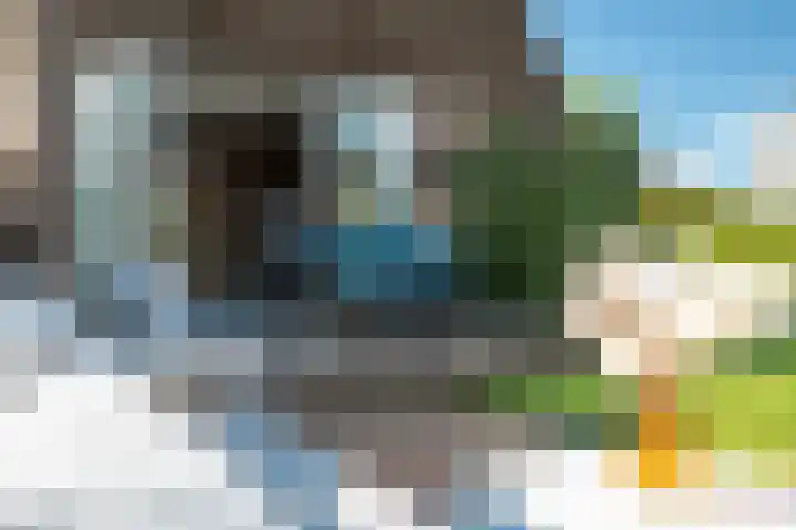 Yn 'e Lijte 133 Grou foto 3