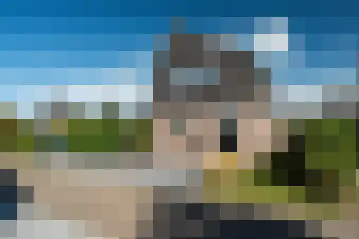 Yn 'e Lijte 133 Grou thumbnail 31
