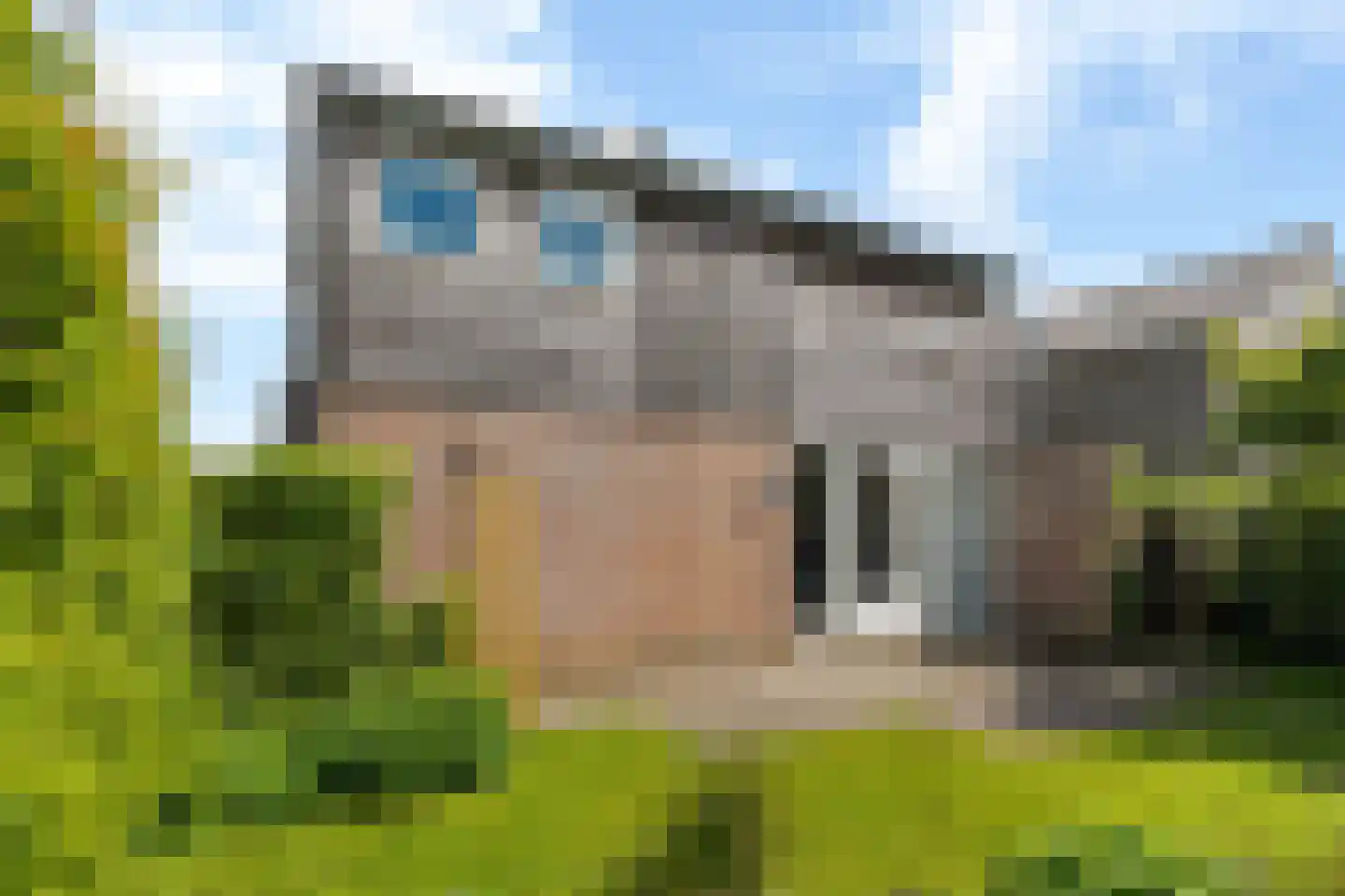 Yn 'e Lijte 141 Grou foto 2