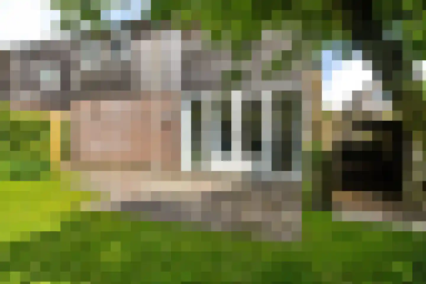 Yn 'e Lijte 141 Grou thumbnail 23