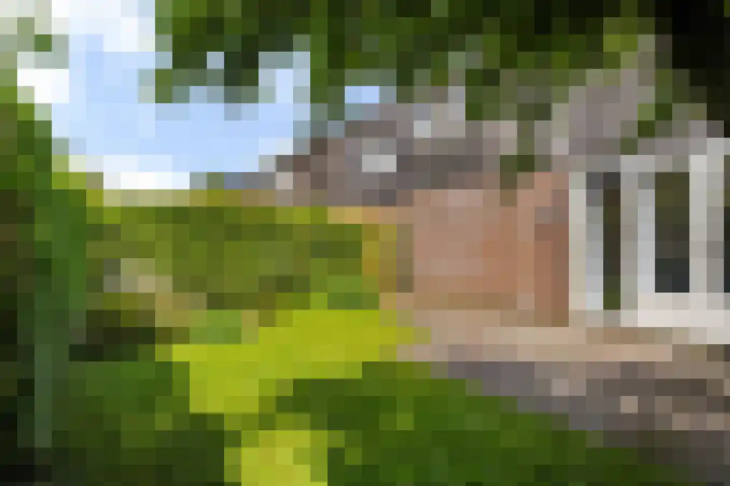 Yn 'e Lijte 141 Grou thumbnail 25