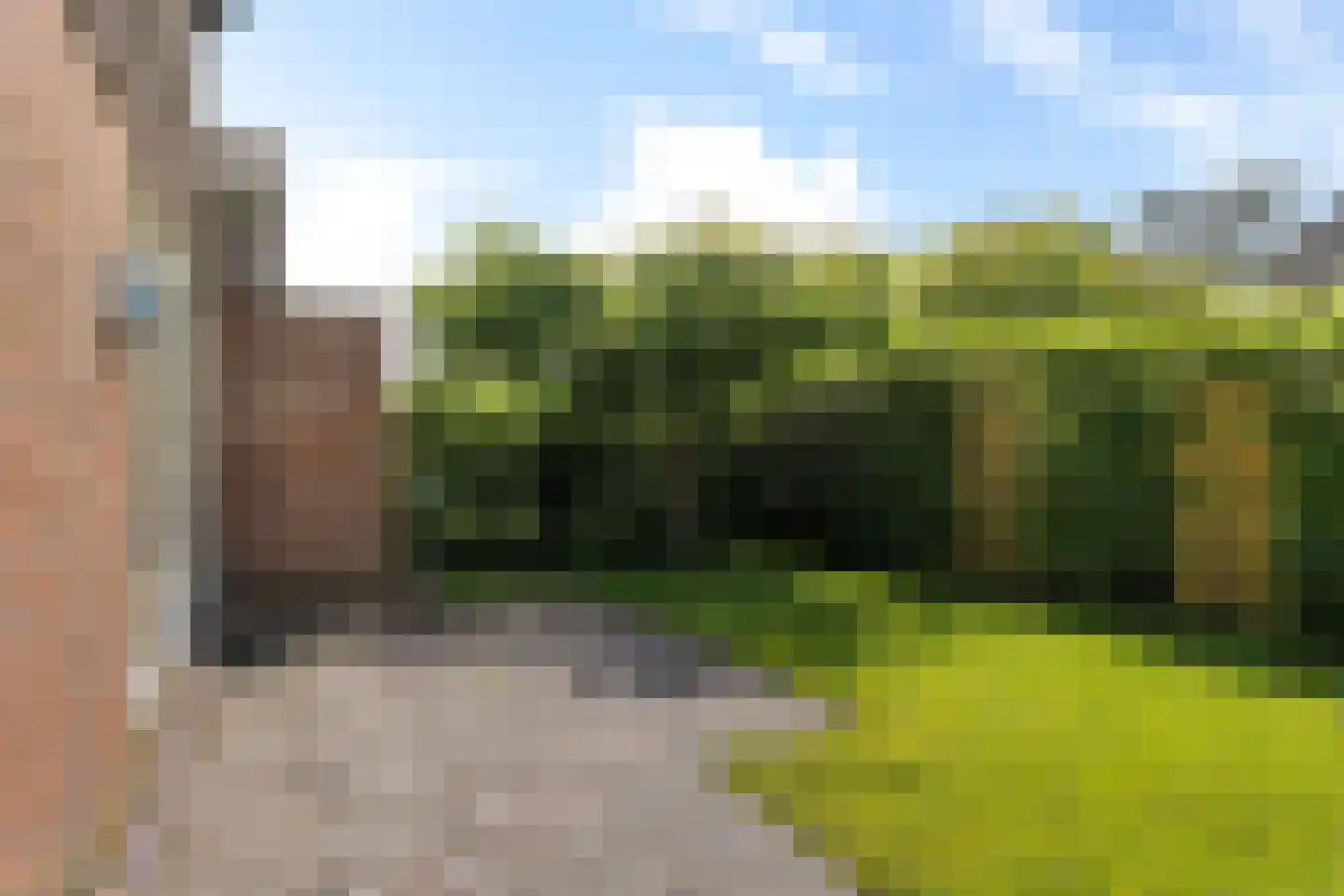 Yn 'e Lijte 141 Grou thumbnail 26