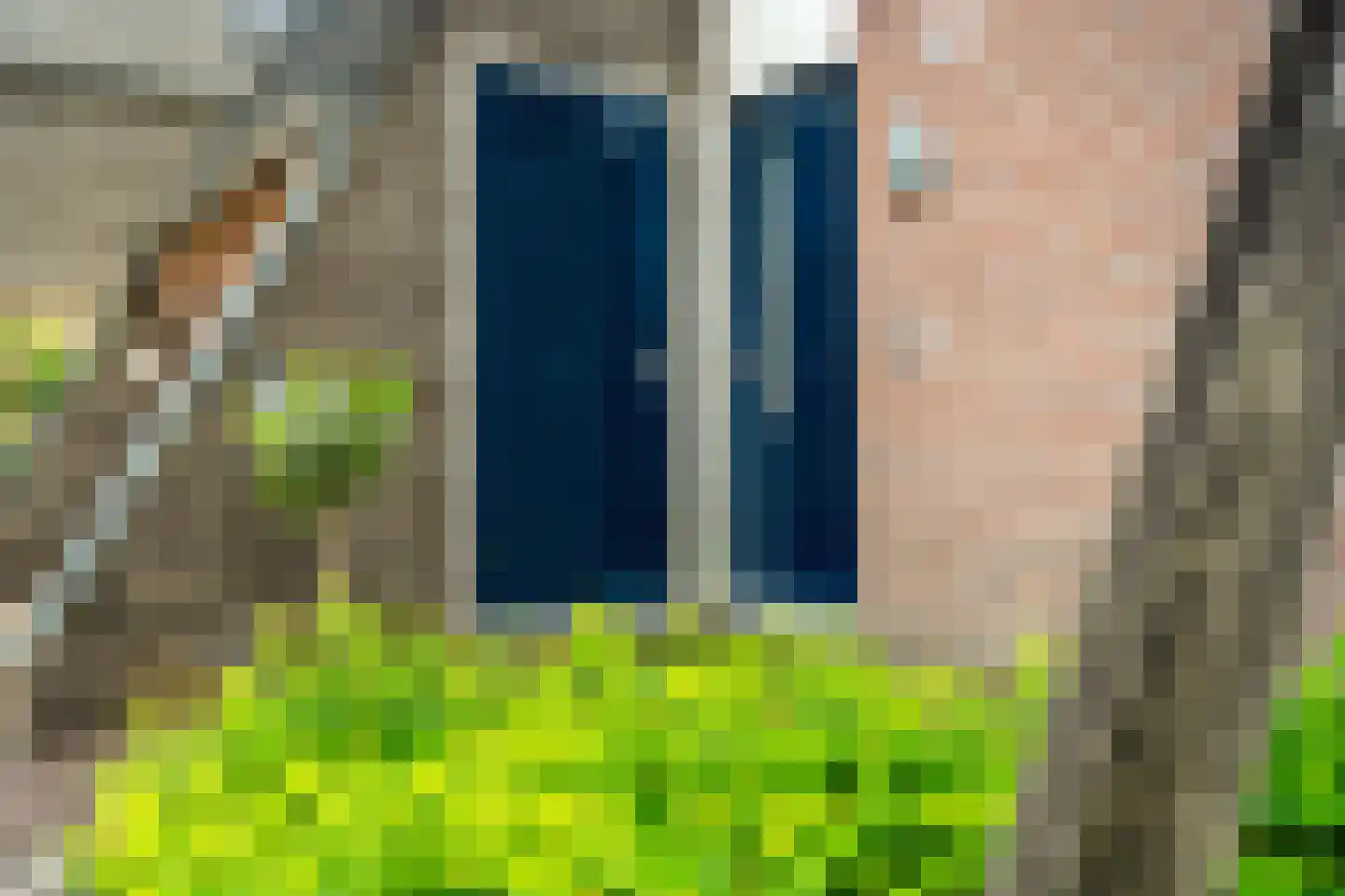 Yn 'e Lijte 141 Grou foto 3