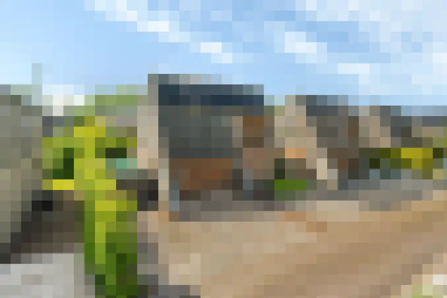 Yn 'e Lijte 141 Grou thumbnail 30