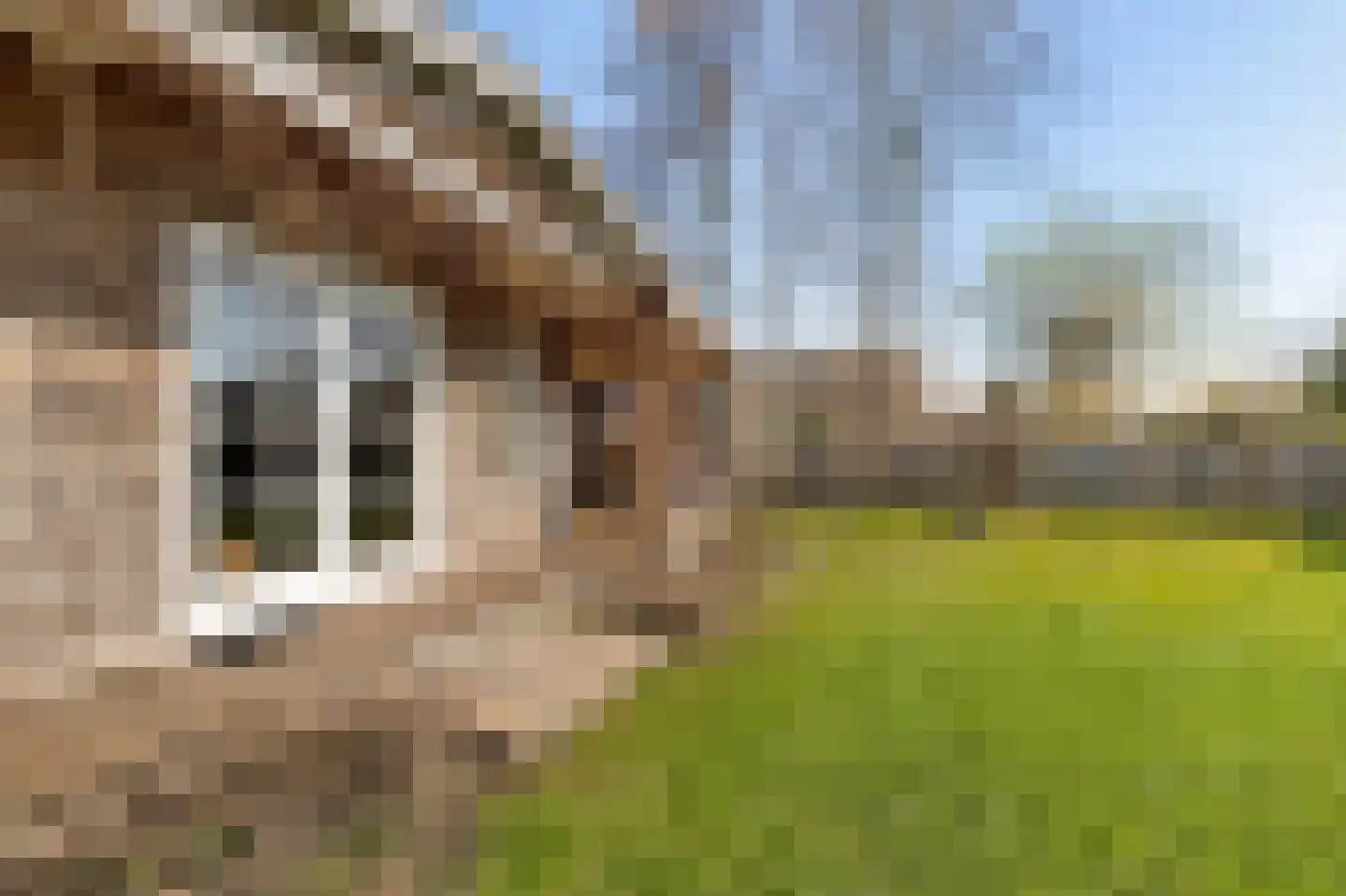 Yn 'e Lijte 18 19 Grou thumbnail 16