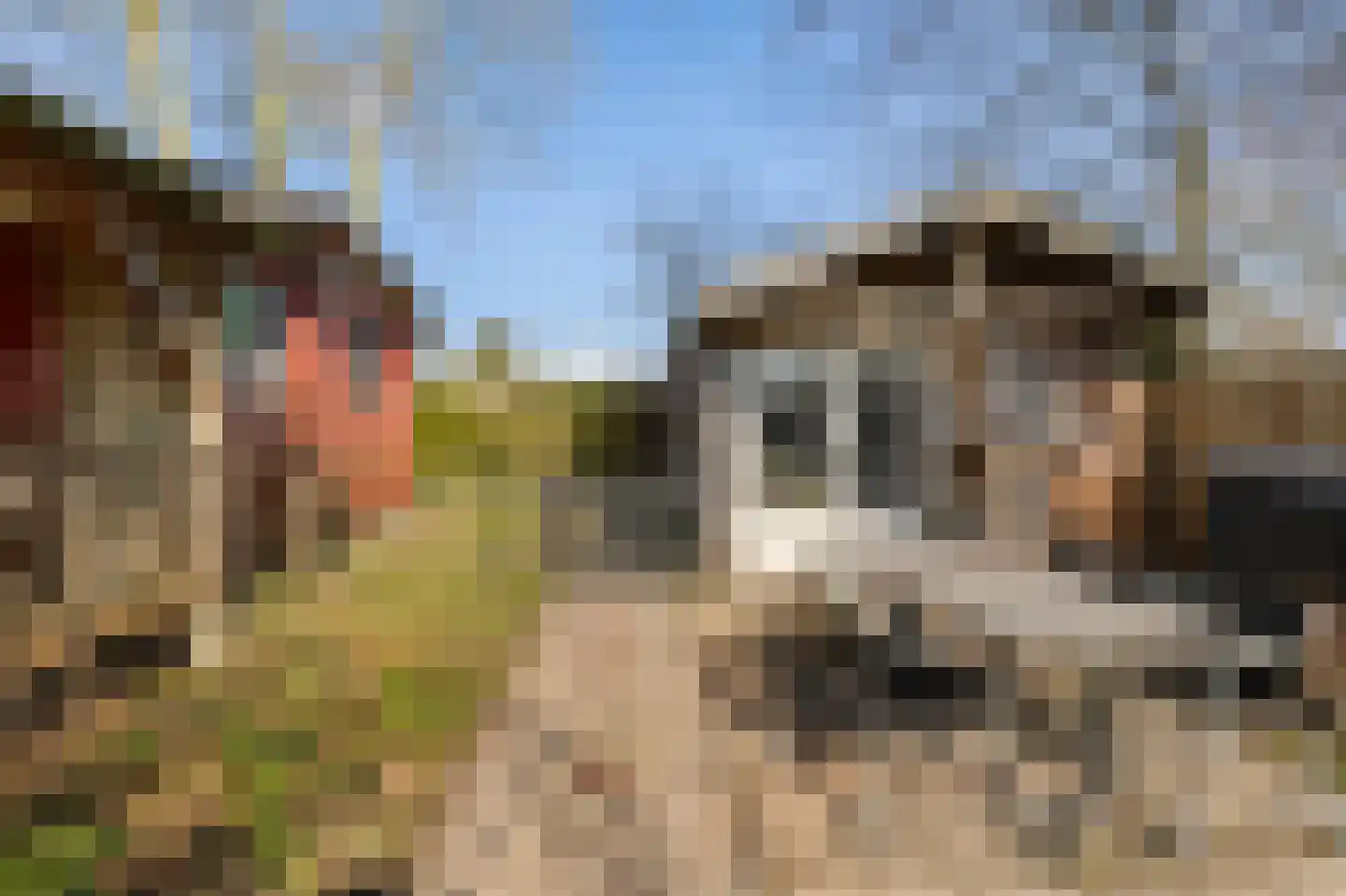 Yn 'e Lijte 18 19 Grou thumbnail 21