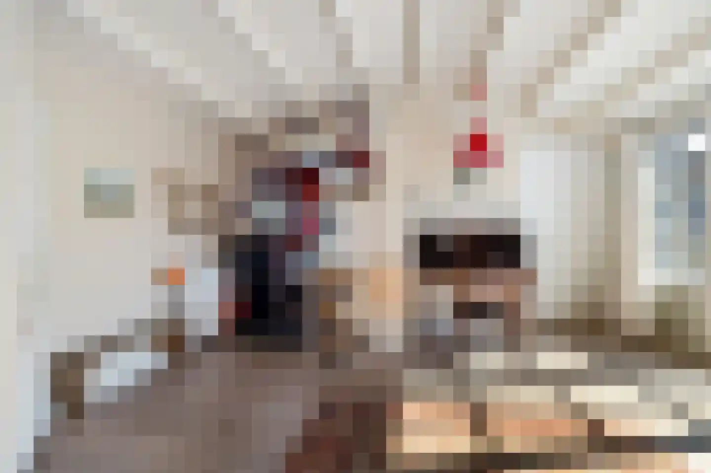 Yn 'e Lijte 18 19 Grou thumbnail 25