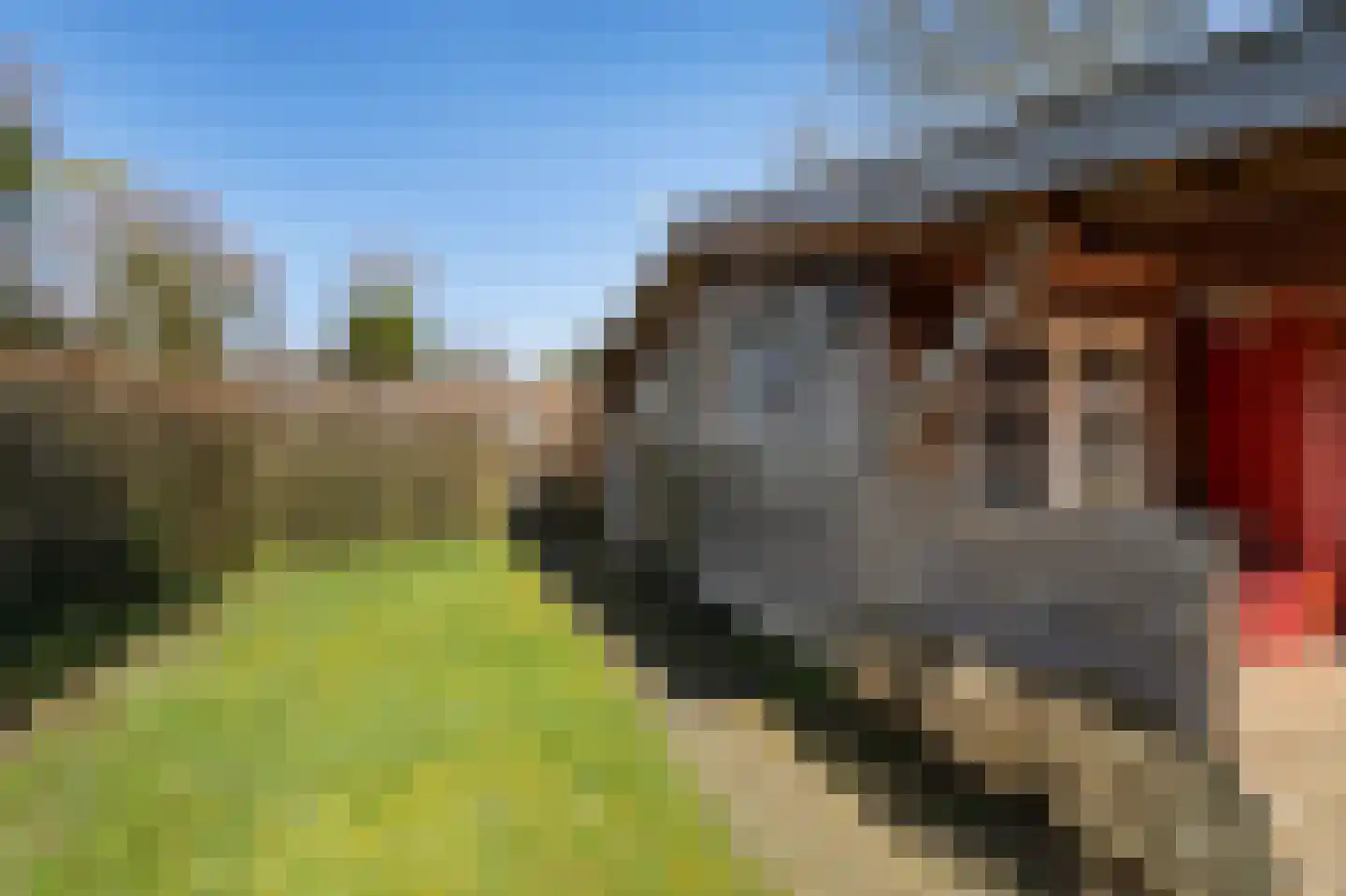 Yn 'e Lijte 18 19 Grou thumbnail 36