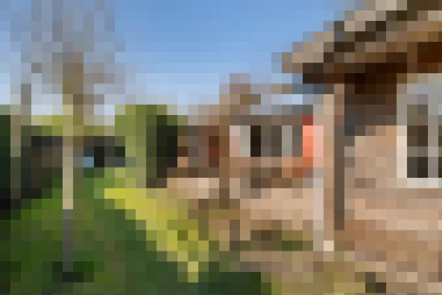 Yn 'e Lijte 18 19 Grou thumbnail 37