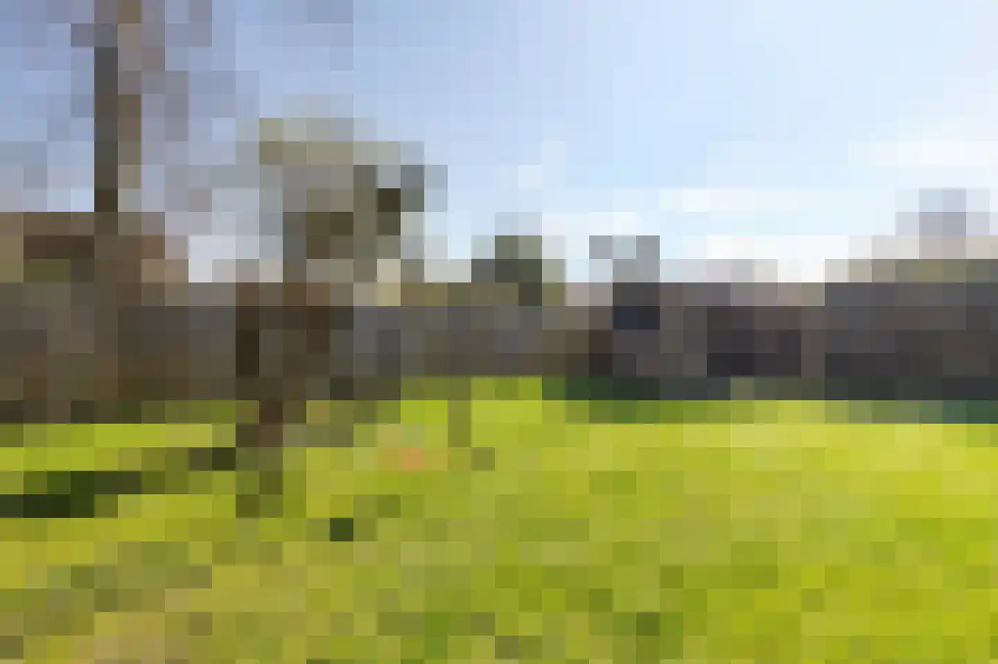 Yn 'e Lijte 18 19 Grou thumbnail 39