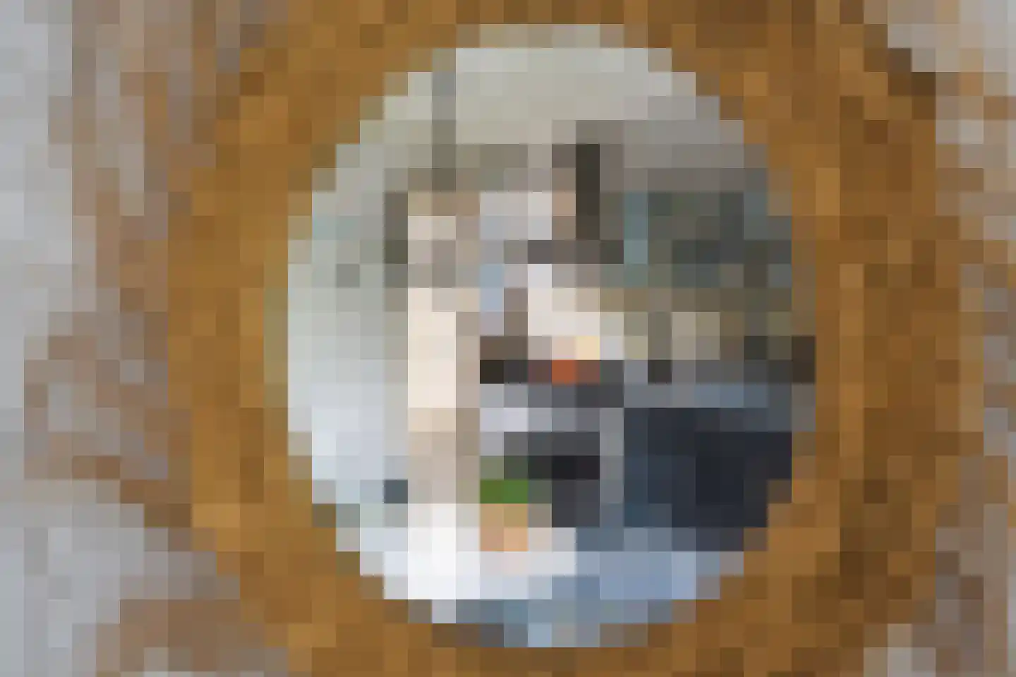 Yn 'e Lijte 36 Grou thumbnail 15