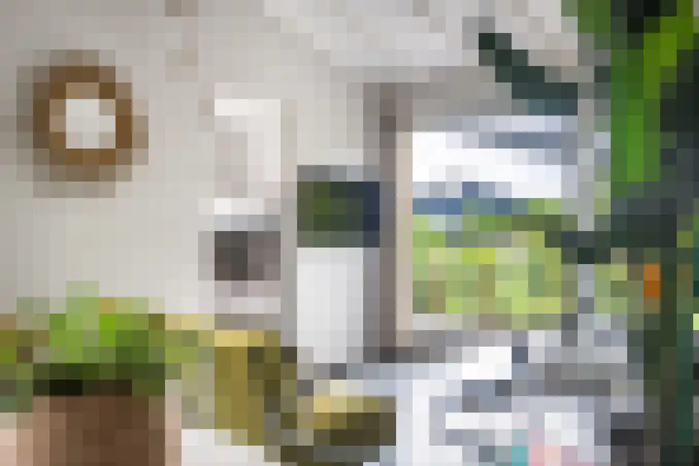 Yn 'e Lijte 36 Grou thumbnail 19
