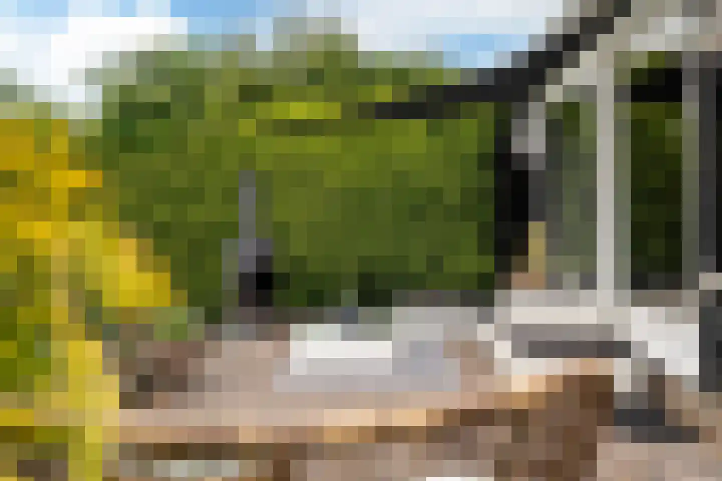 Yn 'e Lijte 36 Grou thumbnail 20