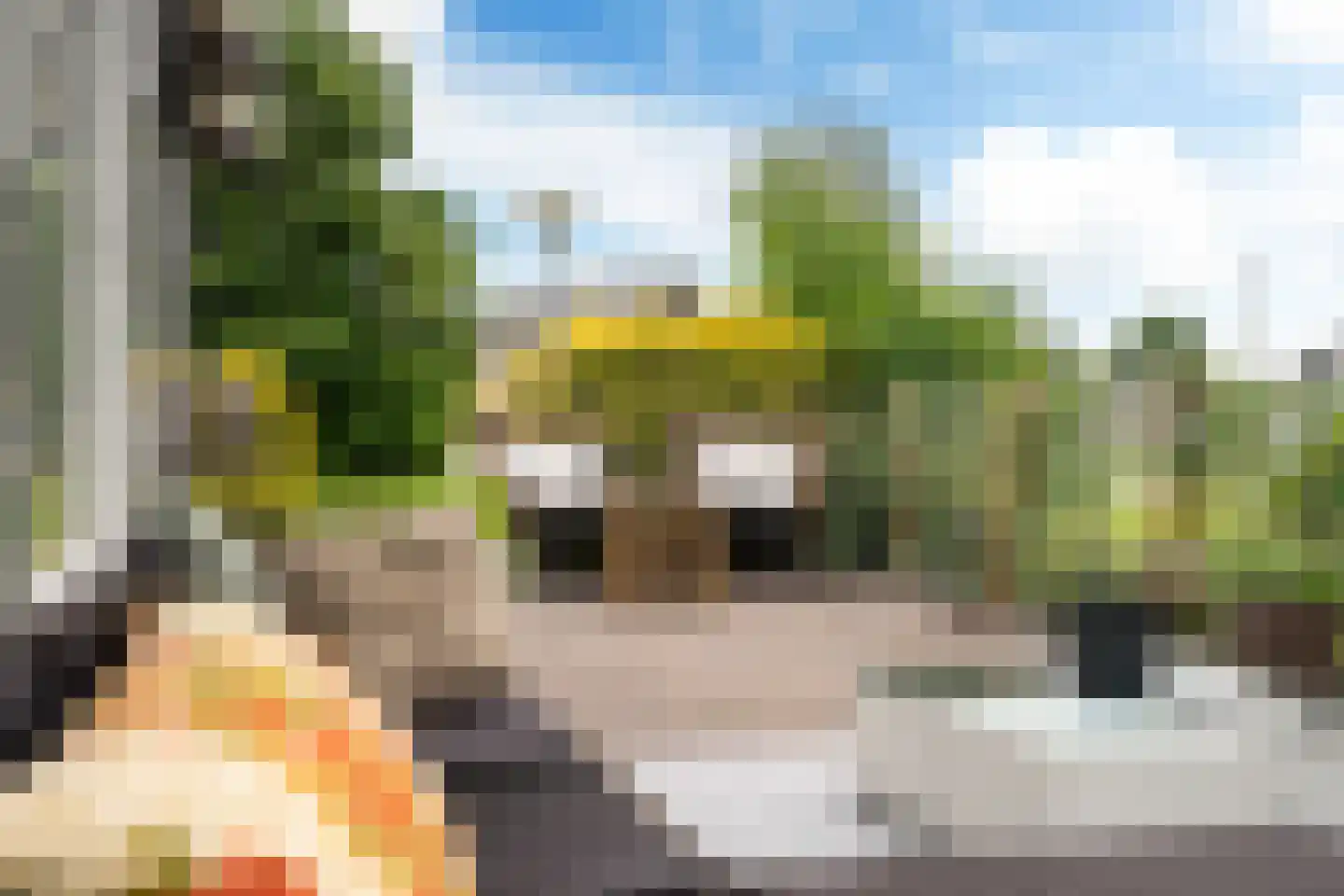 Yn 'e Lijte 36 Grou thumbnail 21