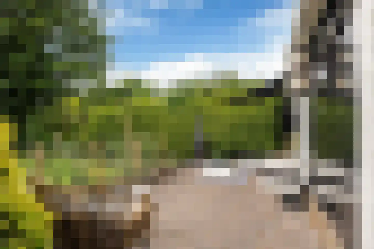 Yn 'e Lijte 36 Grou thumbnail 23