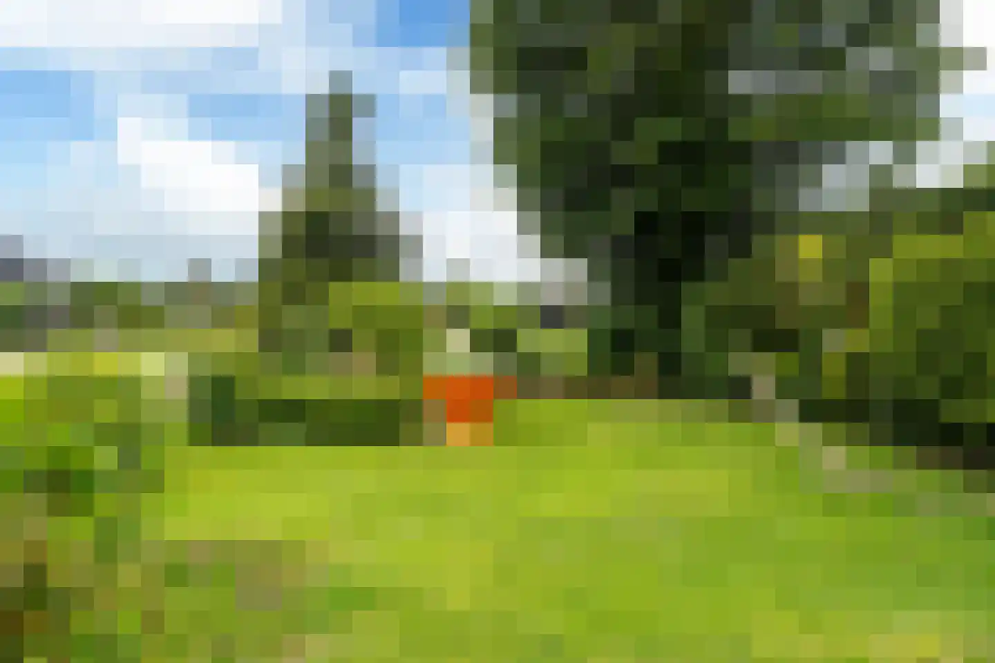 Yn 'e Lijte 36 Grou thumbnail 24