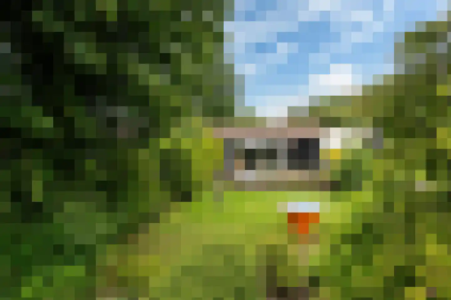 Yn 'e Lijte 36 Grou thumbnail 25