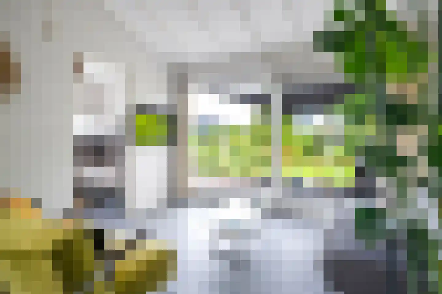 Yn 'e Lijte 36 Grou foto 3