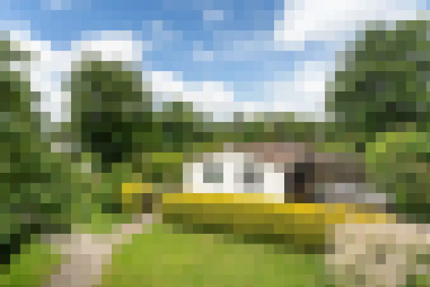 Yn 'e Lijte 36 Grou thumbnail 32