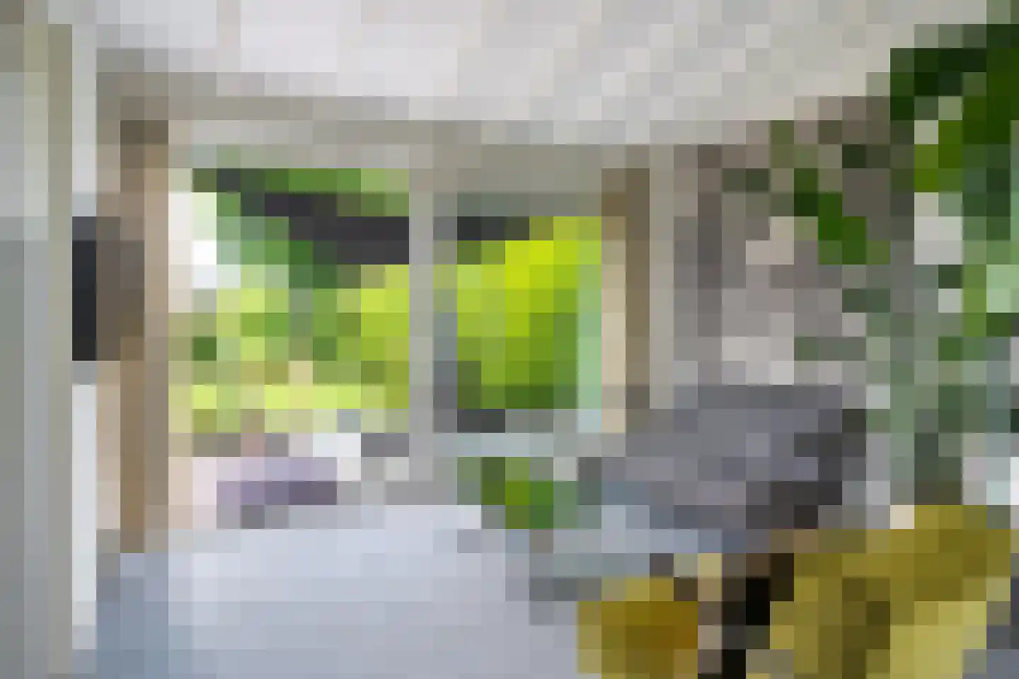 Yn 'e Lijte 36 Grou thumbnail 8