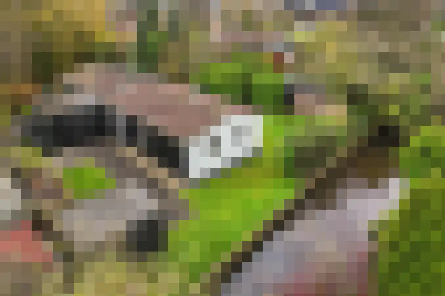 Yn 'e Lijte 41 in Grou