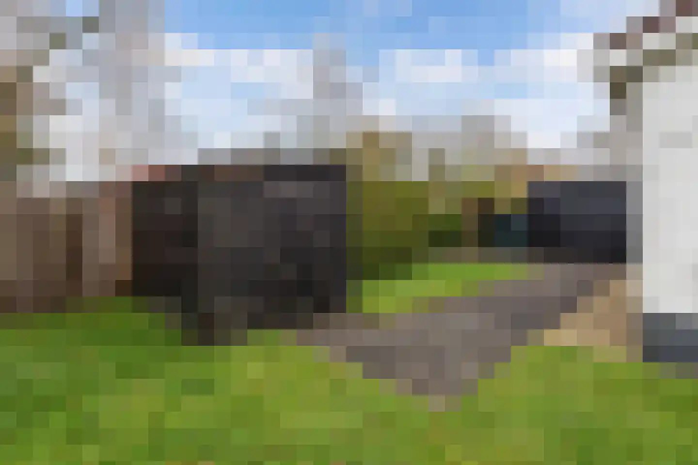 Yn 'e Lijte 41 Grou thumbnail 24