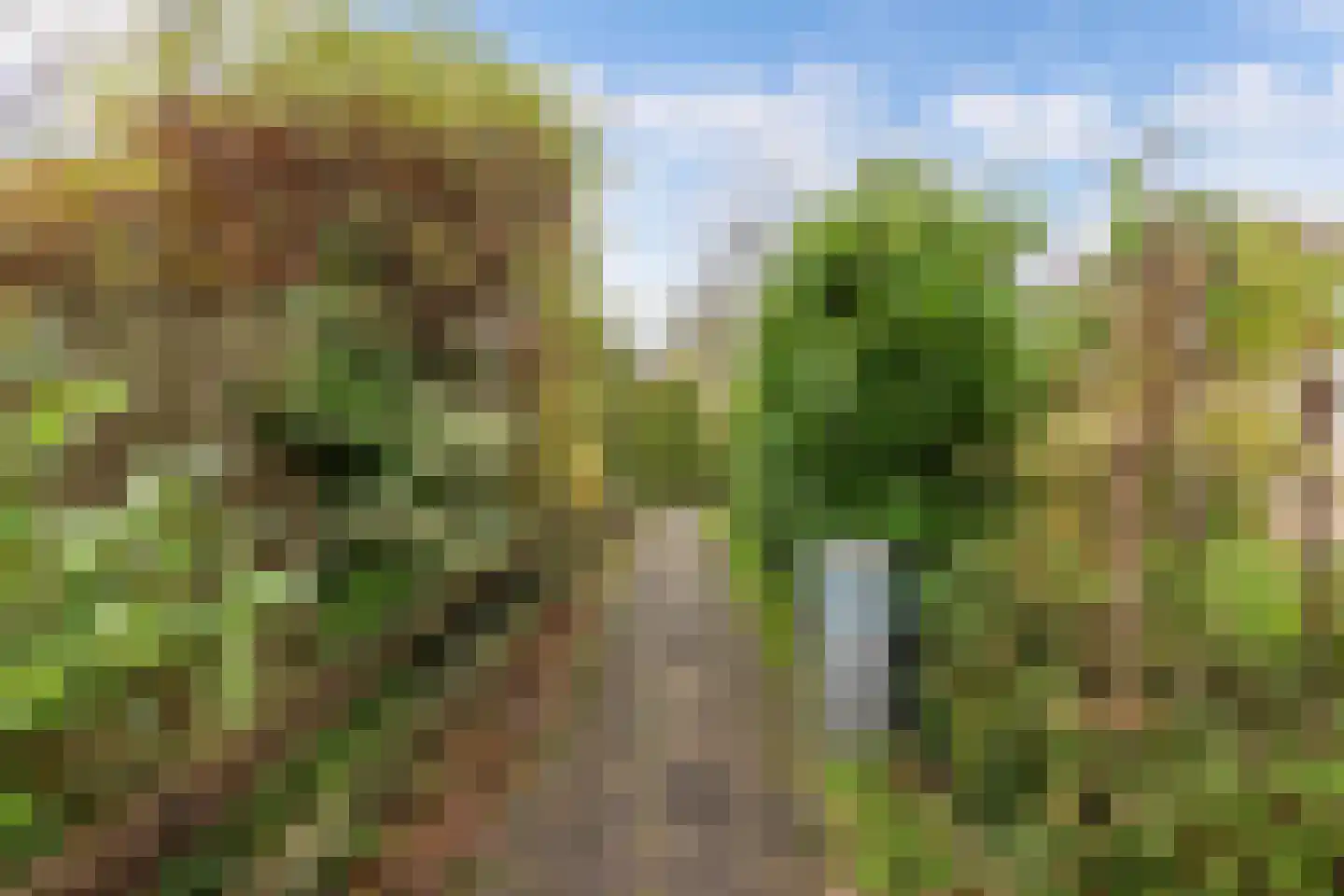 Yn 'e Lijte 41 Grou thumbnail 29