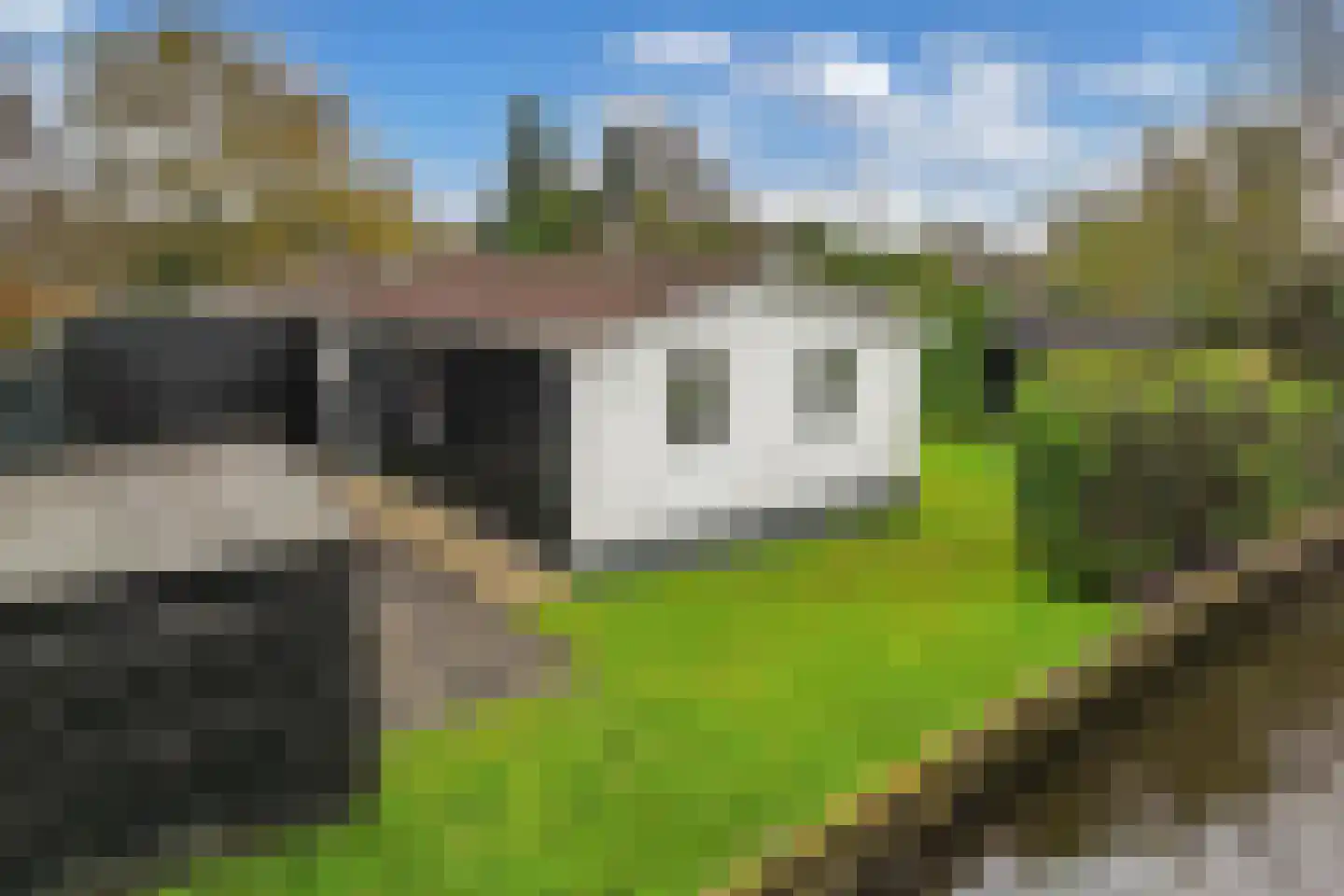 Yn 'e Lijte 41 Grou thumbnail 34