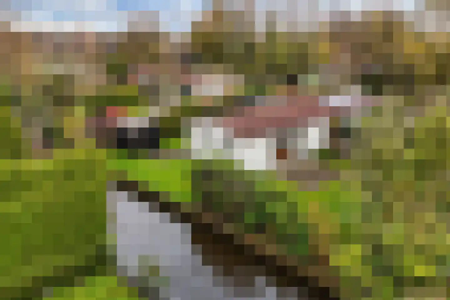 Yn 'e Lijte 41 Grou thumbnail 35