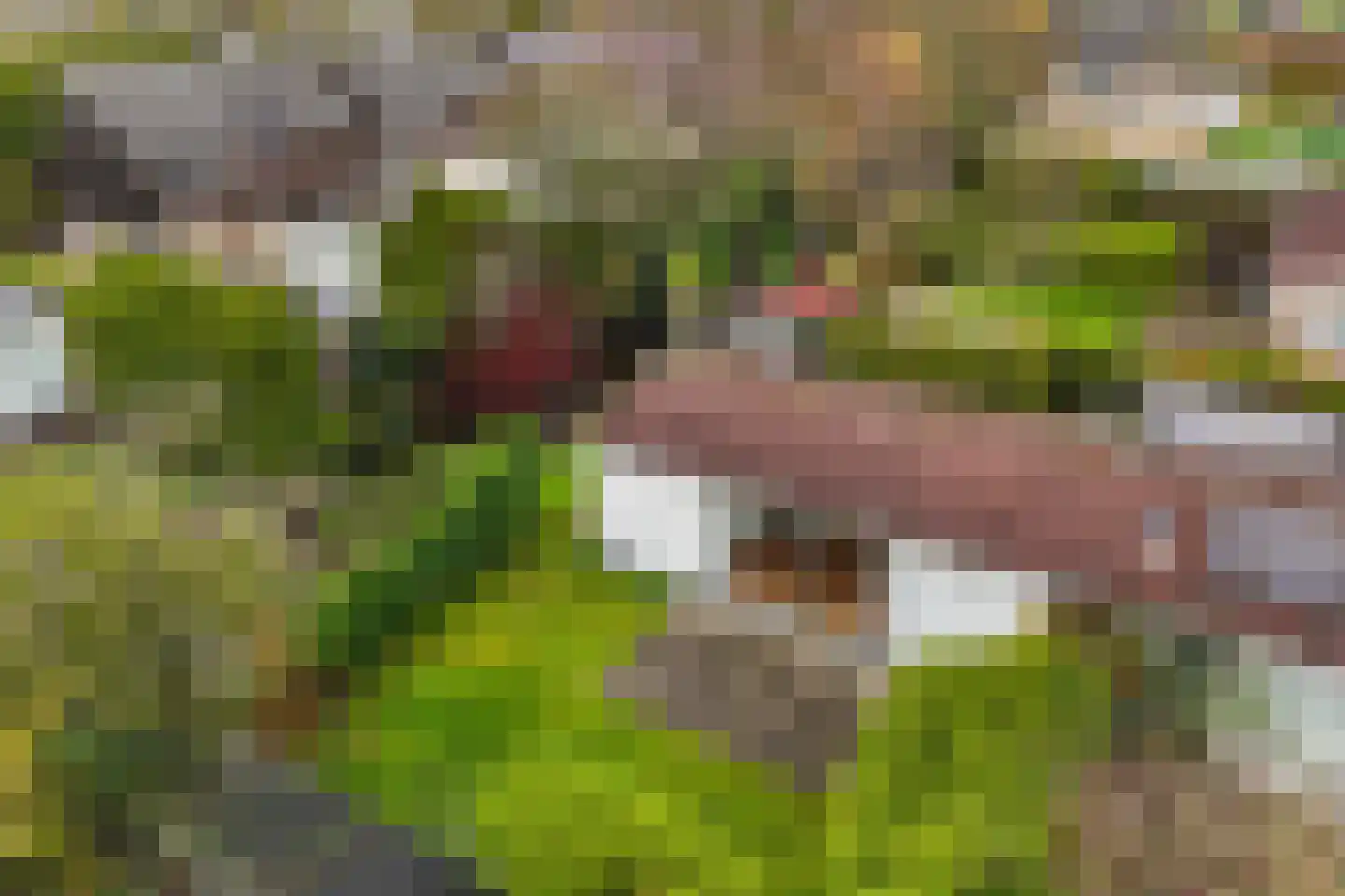 Yn 'e Lijte 41 Grou thumbnail 36
