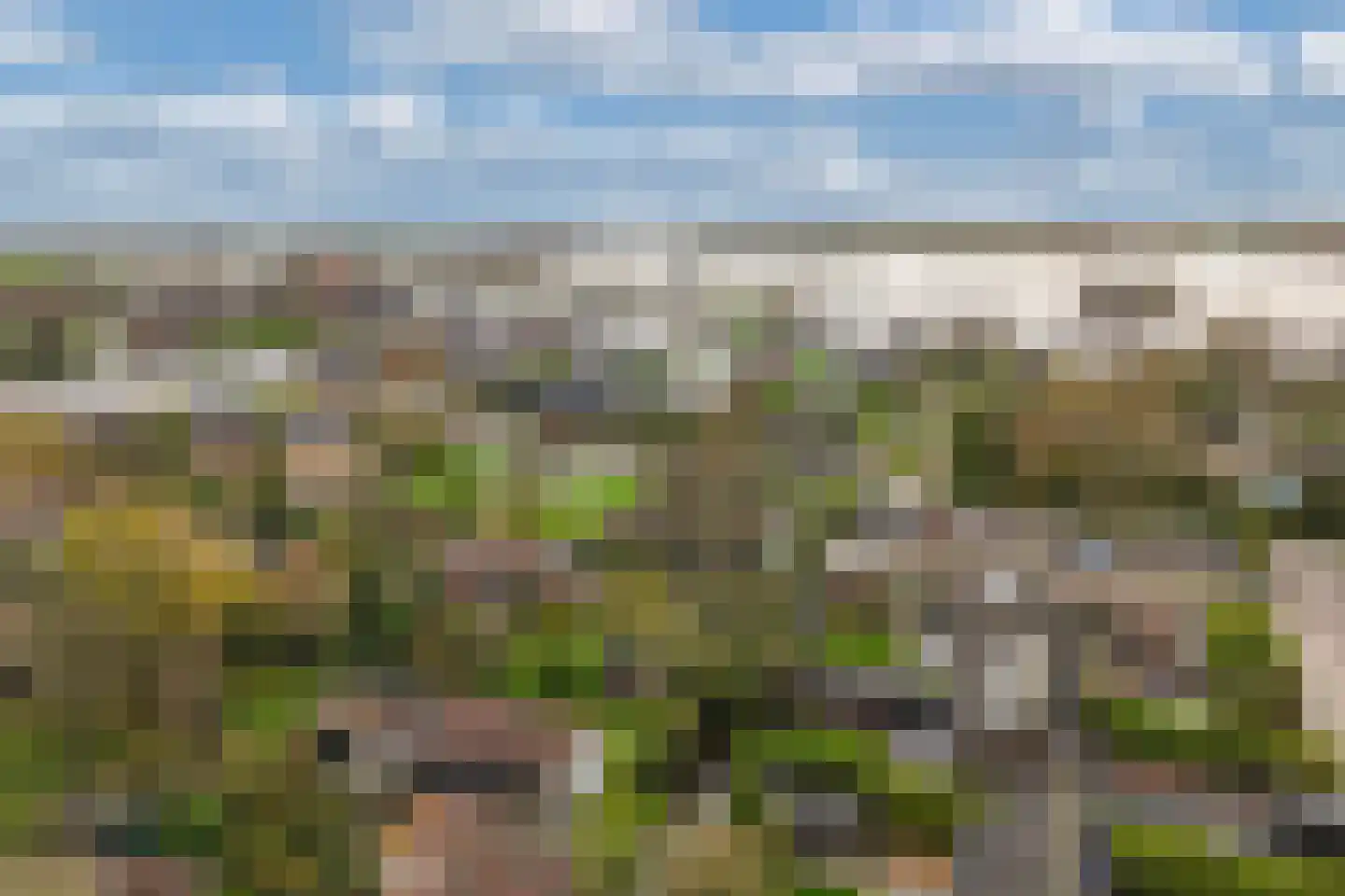 Yn 'e Lijte 41 Grou thumbnail 37