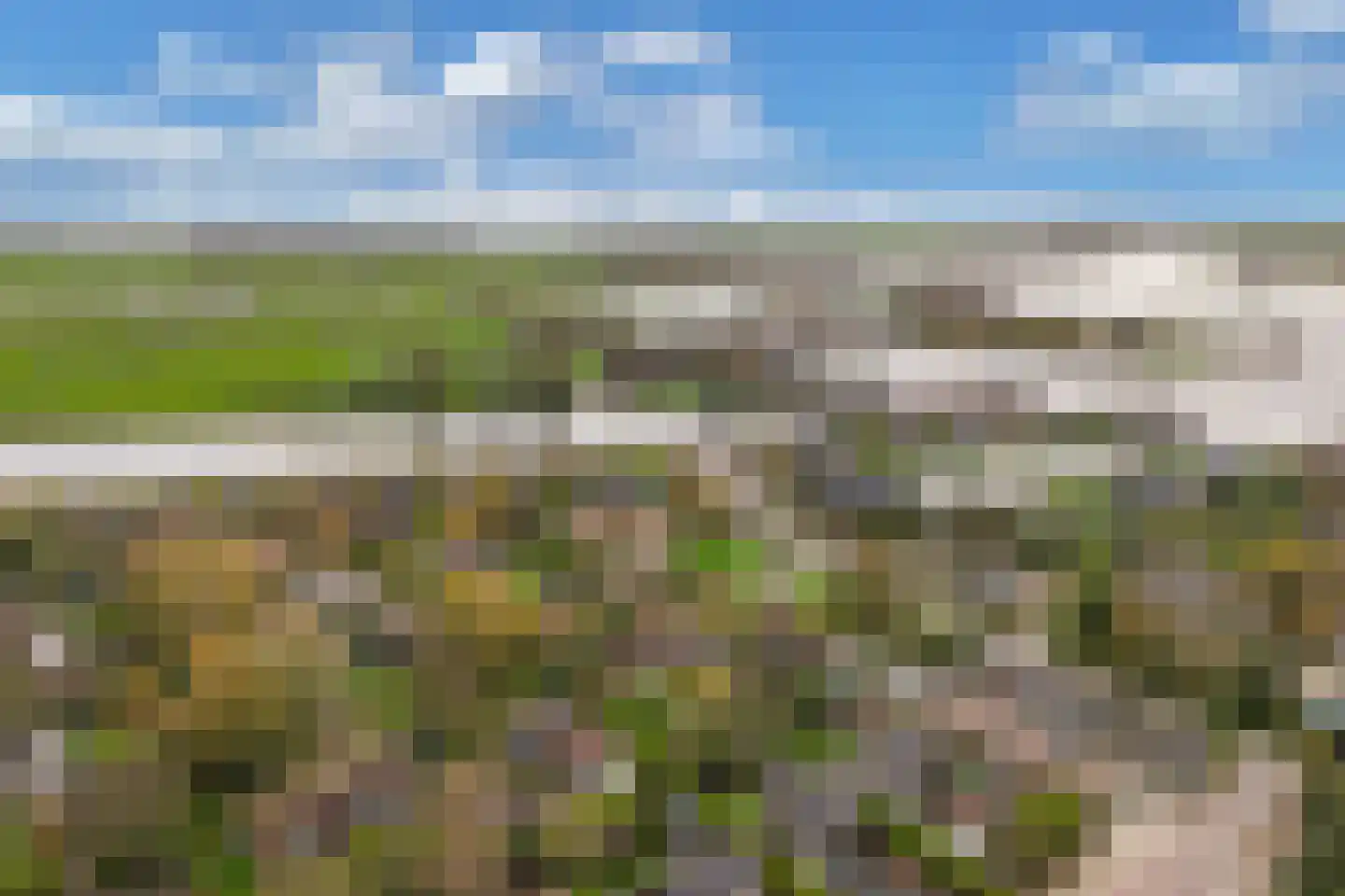 Yn 'e Lijte 41 Grou thumbnail 38