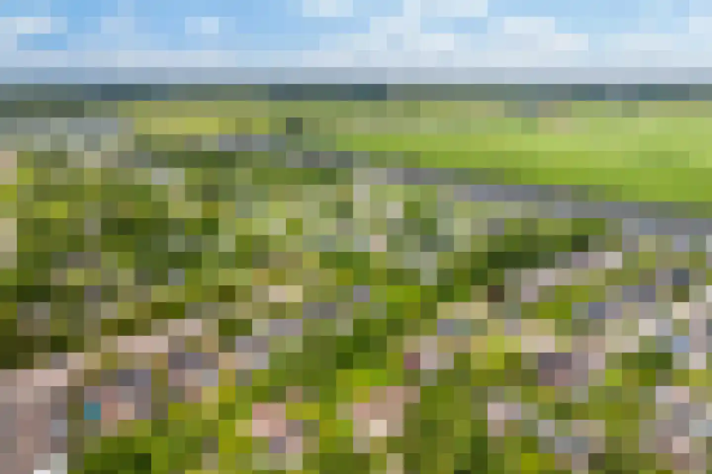 Yn 'e Lijte 43 Grou thumbnail 18