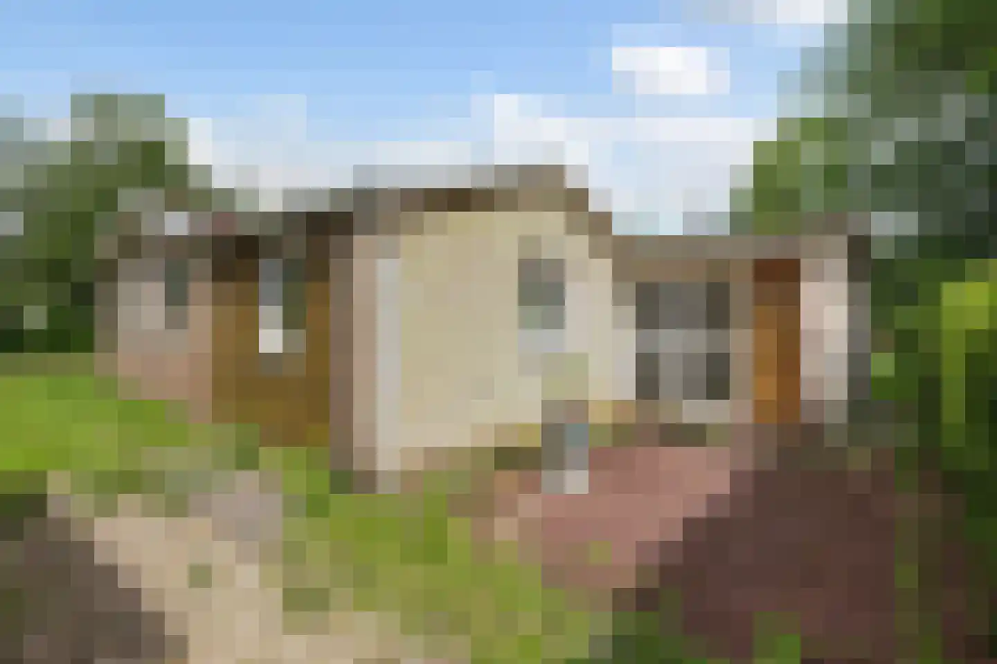 Yn 'e Lijte 43 Grou foto 2