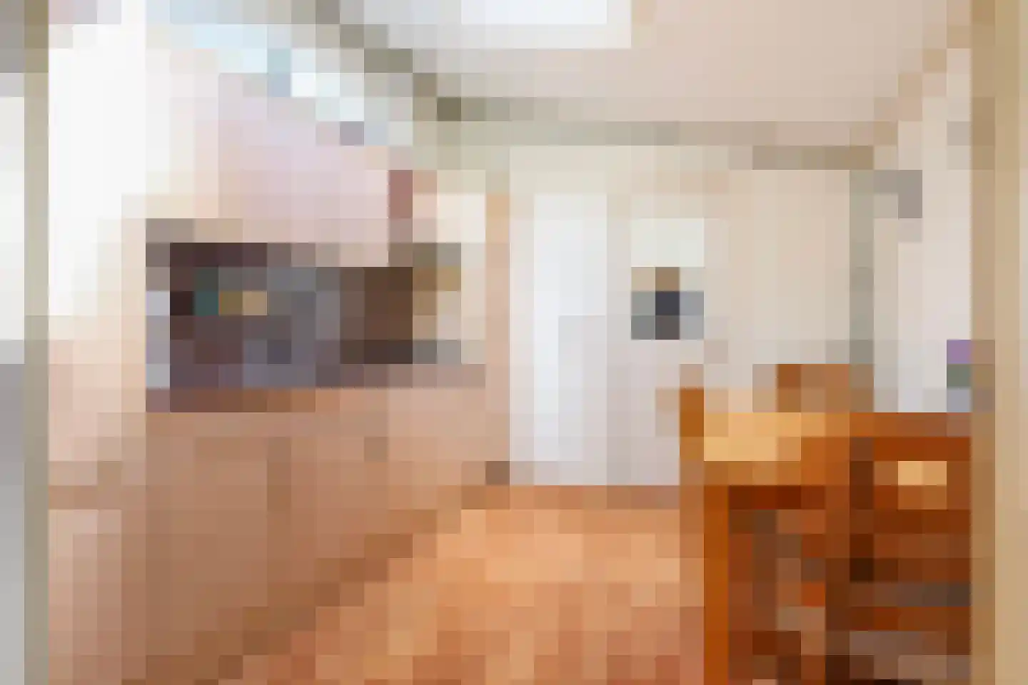 Yn 'e Lijte 43 Grou thumbnail 7