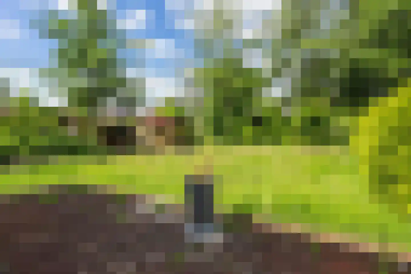 Yn 'e Lijte 43 Grou thumbnail 9