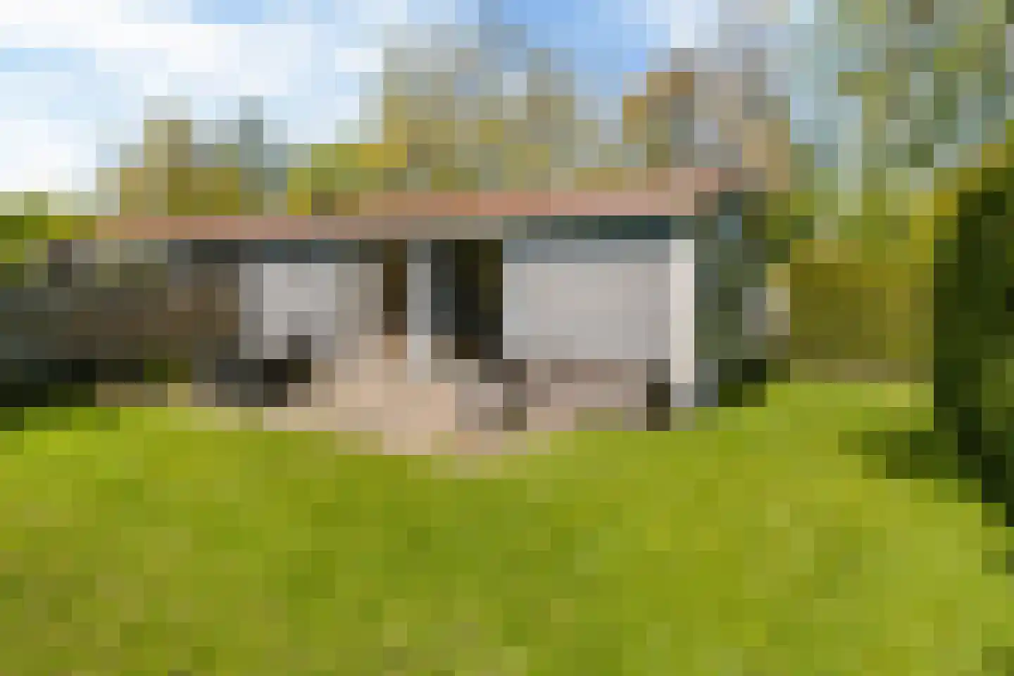Yn 'e Lijte 55 Grou