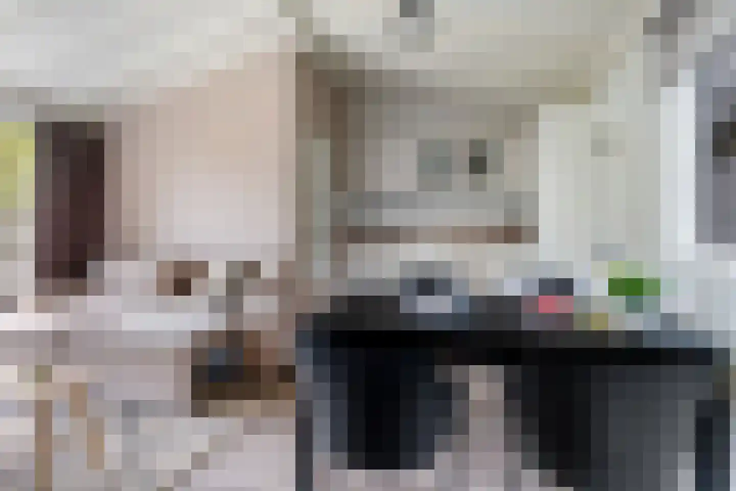Yn 'e Lijte 55 Grou thumbnail 11