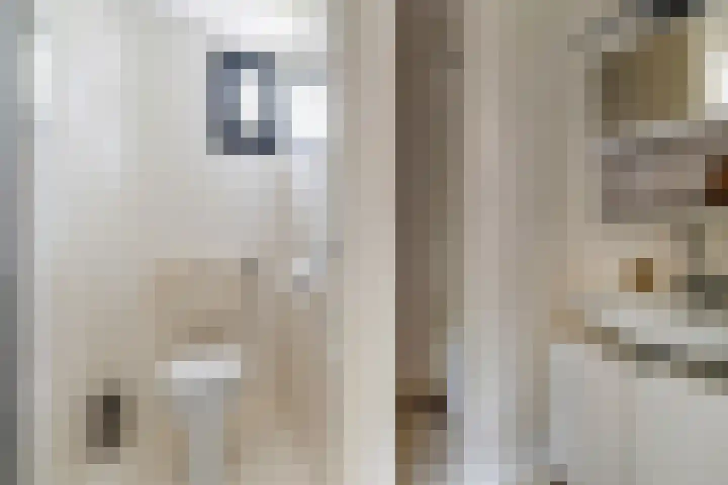Yn 'e Lijte 55 Grou thumbnail 18