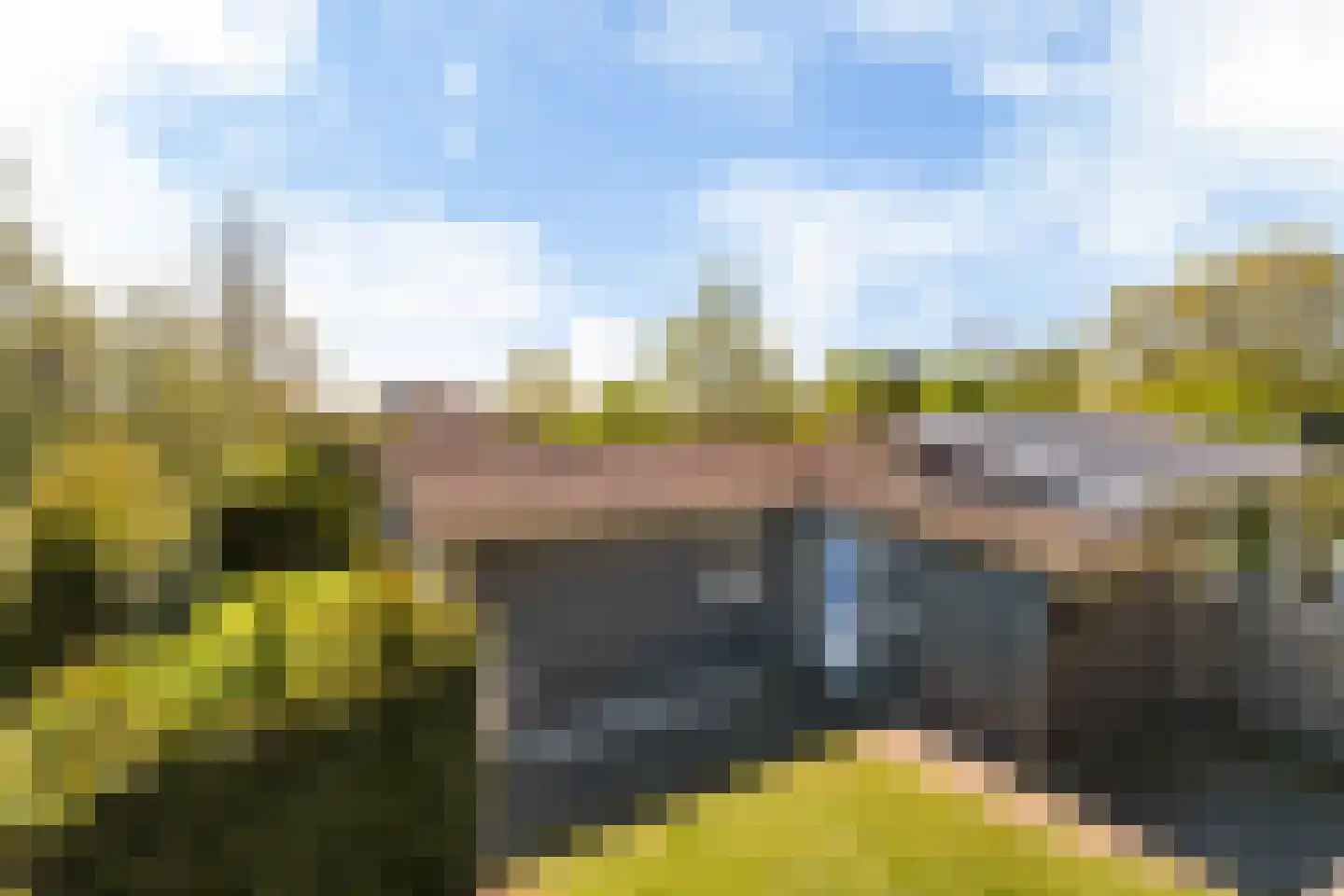 Yn 'e Lijte 55 Grou foto 2