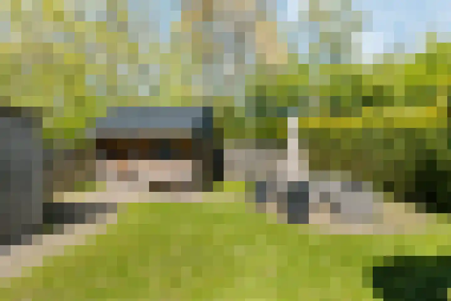 Yn 'e Lijte 55 Grou thumbnail 20